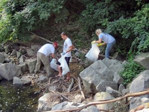 Barcroft Park/Four Mile Run clean-up