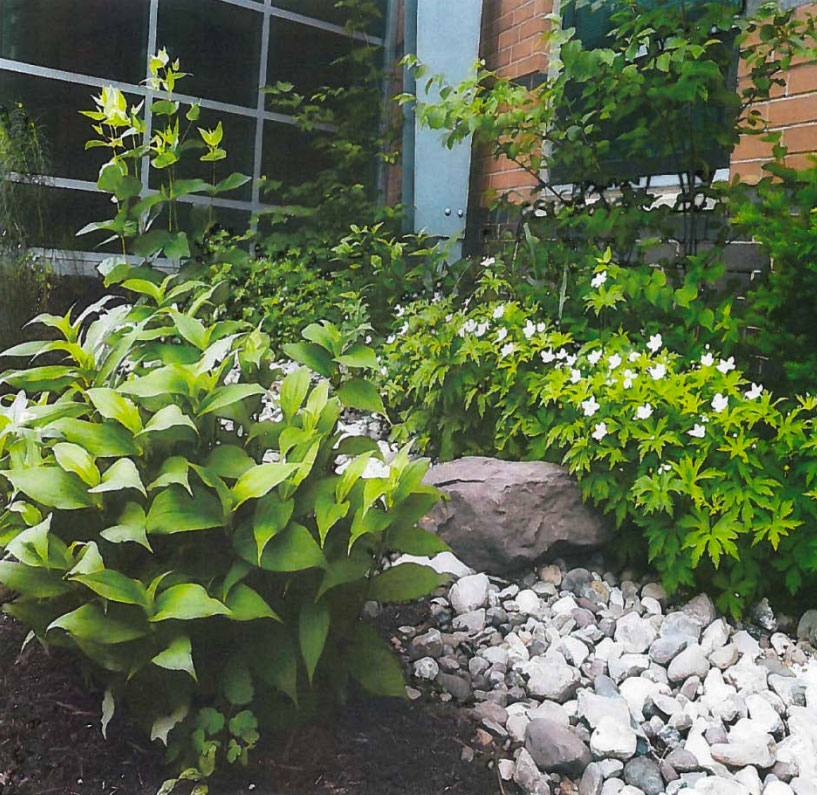 Washington-Lee High School landscaping