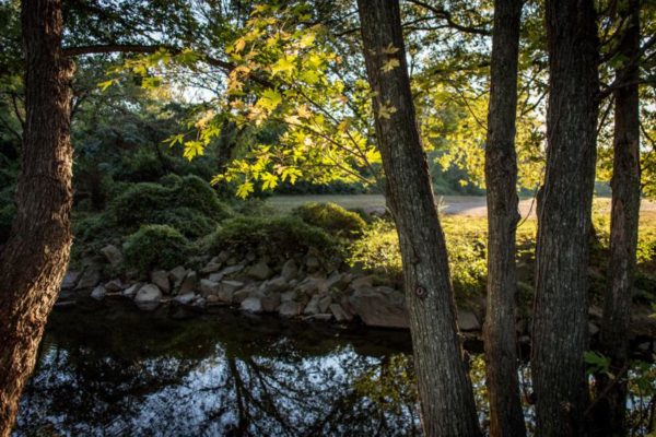 Autumn morning in Bluemont Park (Flickr pool photo by Ddimick)