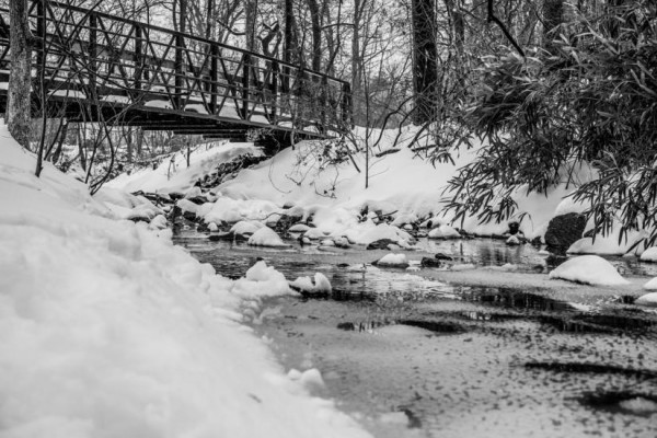 Snowy Rock Spring (Flickr pool photo by Wolfkann)