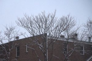 Snow in Rosslyn on 3/25/14