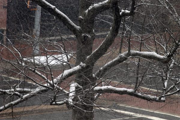 Snow falls on 3/25/14