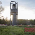 Tulips at the Netherlands Carillon