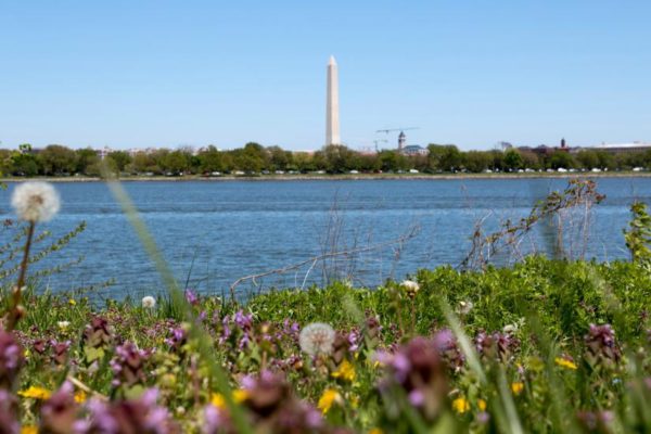 Potomac River Bank (Flickr pool photo by Brian Allen)