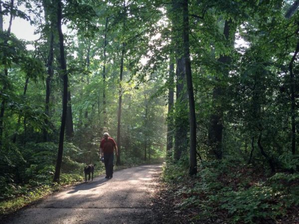 Morning Stroll (Flickr pool photo by Dennis Dimick)