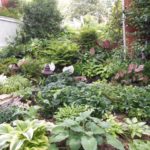 Auditore Garden 