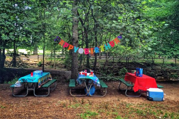 Birthday party in Bluemont Park (Flickr pool by Dennis Dimick)