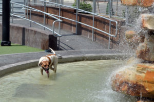 Heat Advisory hits Arlington