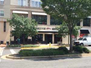 Bonefish Grill on Pentagon Row