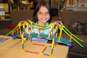 An Arlington Public Library engineering STEM kit (Photo courtesy Arlington Public Library)