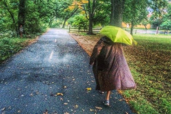 Rainy fall day in Bluemont Park (Flickr pool photo by Dennis Dimick)