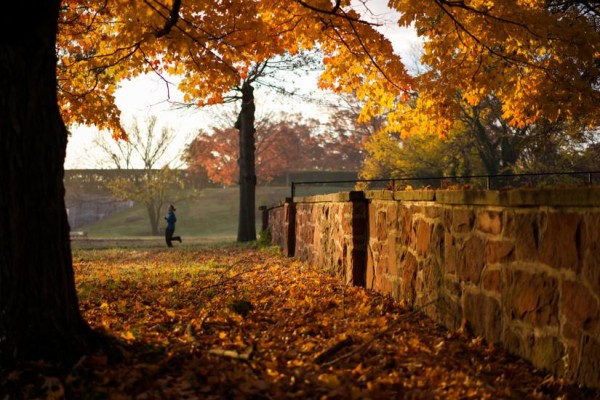 Autumn jog (Flickr pool photo by Kevin Wolf)