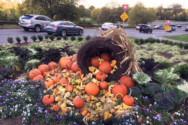 A cornucopia in Rosslyn last week. The cornucopia is a symbol of abundance.