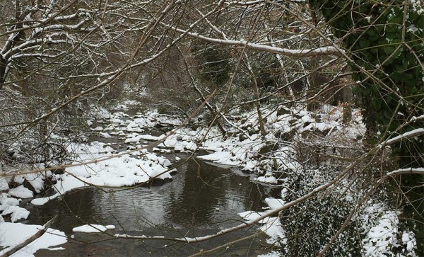 Snowy creek in Arlington (Flickr pool photo by Mrs. Gemstone)