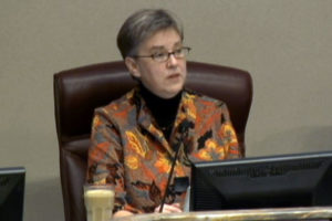 Mary Hynes at the Jan. 1, 2015 County Board organizational meeting