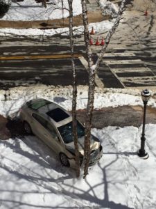 Car into tree due to icy conditions at 14th Street and N. Veitch Street (Photo courtesy @aklake34)