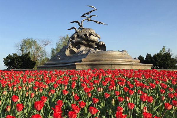 Flowers blooming at the Navy-Merchant Marine Memorial on Columbia Island (Flickr pool photo by Michael Coffman)