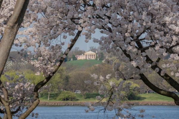 Cherry blossoms and Arlington House (Flickr pool photo by Kevin Wolf)