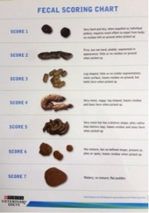 scoring chart