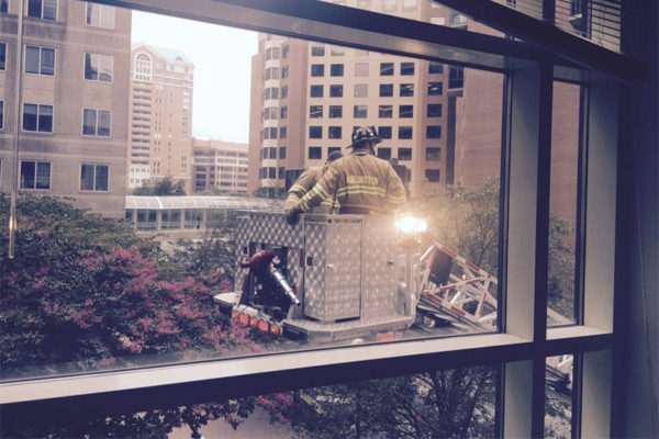 Firefighters rescue a cat in Ballston (photo courtesy @B_Flipn)