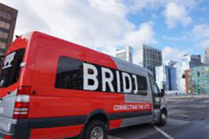 bridj