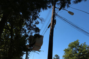 Telephone pole that caught fire on Lorcom Lane