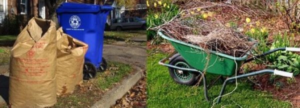 Yard waste (photo via Arlington County)