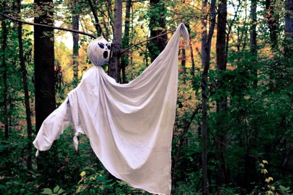 Bedsheet ghost in the woods (Flickr pool photo by xmeeksx)