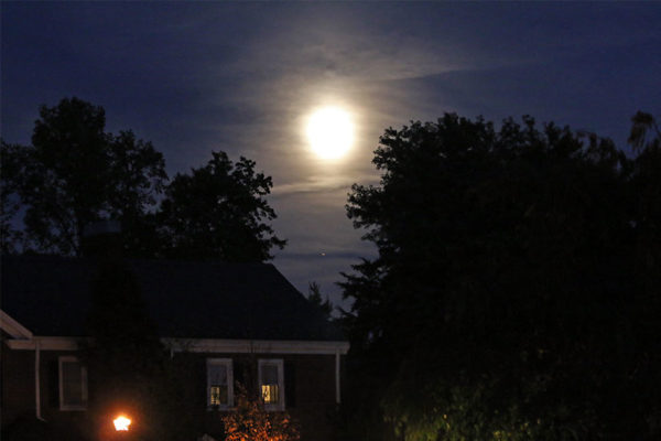 Autumn moon over Fairlington