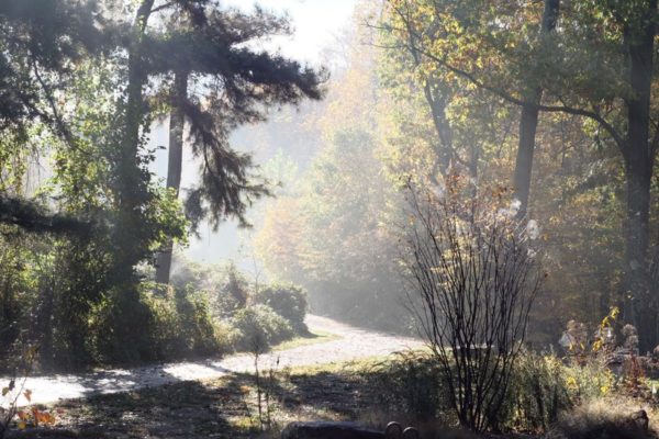 Four Mile Run Trail / Glencarlyn Parik (Flickr pool photo by Vandiik)