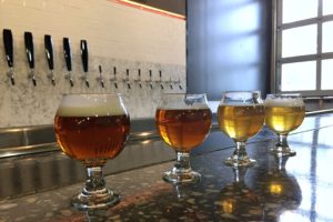 Beer samples L-R: 1821, Brown Ale, Strong Ale, Pilsner