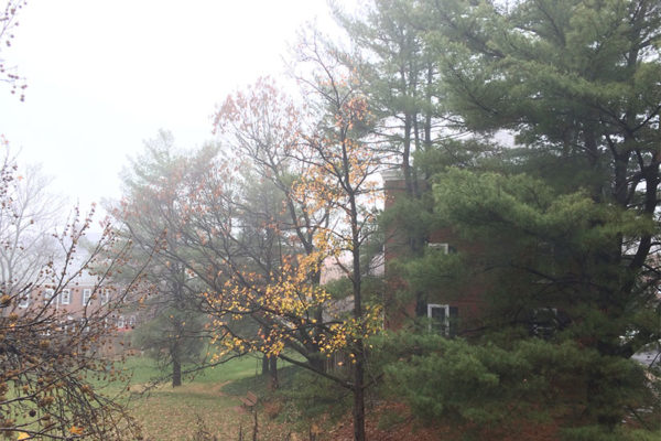 Foggy in Fairlington on 12/2/15