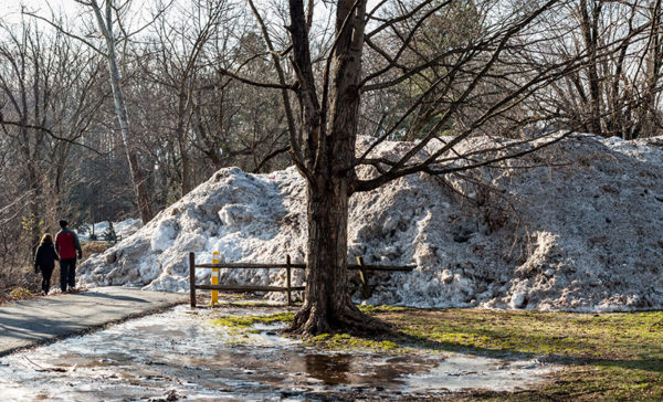 "Bluemont Glacier" (Flickr pool photo by Dennis Dimick)