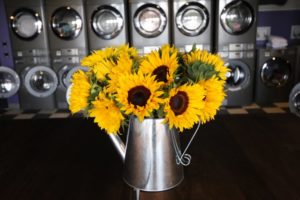 Sunflowers in WeLive in Crystal City