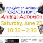 AnimalAdoption