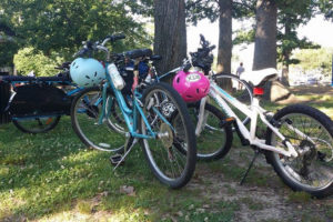 Bikes on a tree, photo via Facebook : Kidical Mass Arlington