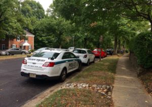 28th Street S. in Fairlington, scene of a raccoon attack