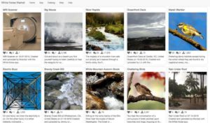 White Noise marketplace