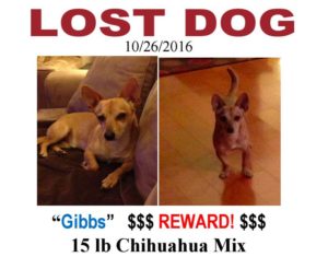 Lost Dog "Gibbs" poster