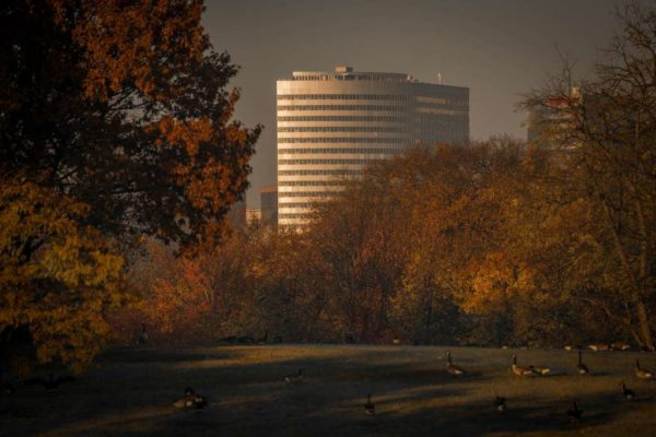 Rosslyn in the fall (Flickr pool photo by Kevin Wolf)