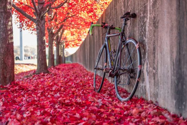 Red leaves and a bicycle (Flickr pool photo by Erinn Shirley)