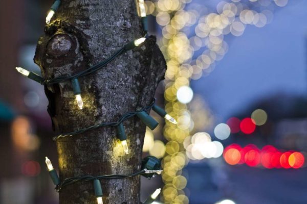 Christmas lights at Penrose Square (Flickr pool photo by Bekah Richards)