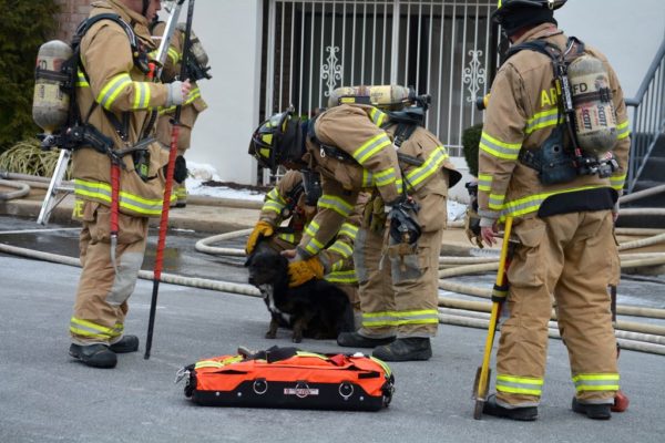 Firefighters rescue dog from Lee Highway apartment fire (Photo courtesy Andrew Pang)