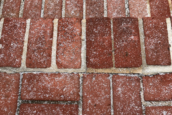 Snow on brick in Fairlington 1/7/17