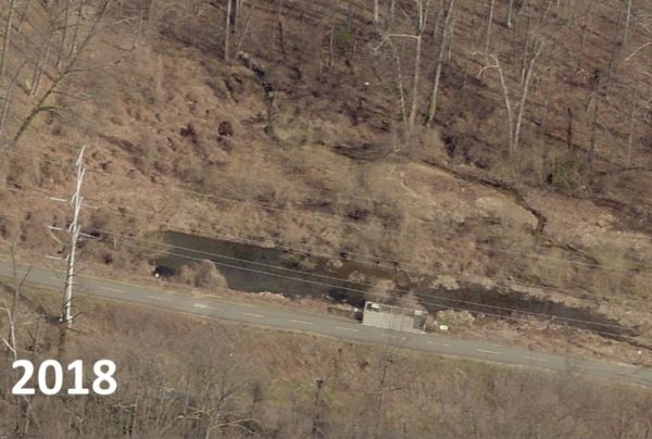 Sparrow Pond in 2018 after years of sediment build up, filling in the manmade waterway (Image via Arlington County)