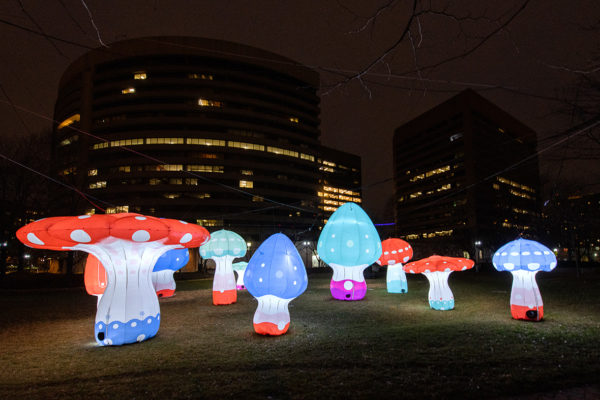 Shrooms at 101 12th Street South (Photo courtesy of National Landing BID)