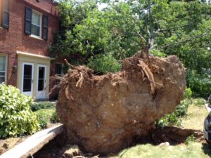 Storm damage on the 1200 block of S. Barton St