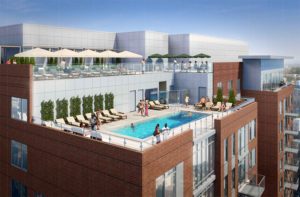 1720 S. Eads Street rooftop pool