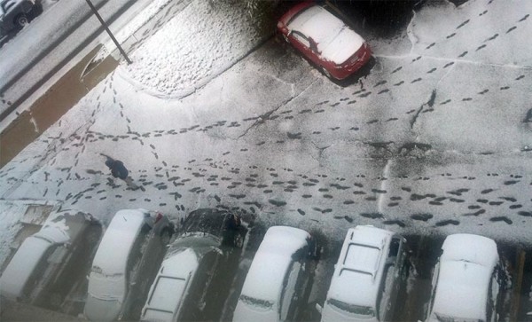 Snow accumulation in a Courthouse parking lot