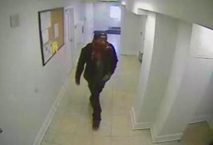 Colonial Village burglary suspect (photo courtesy ACPD)